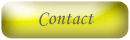 Send An Email To info@chescocoinsncurrency.com